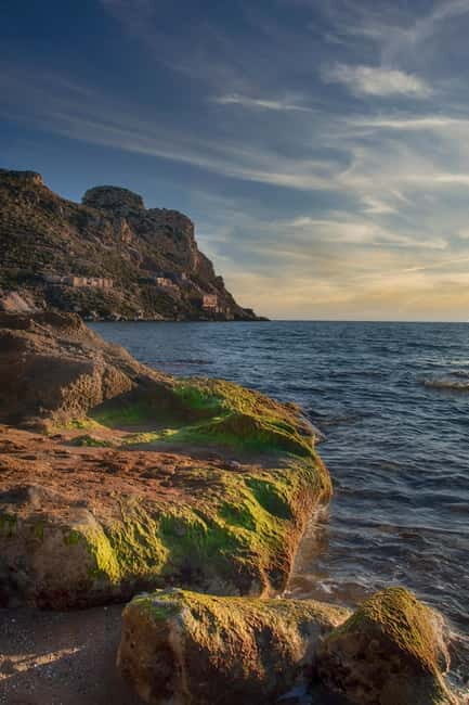 Cartagena: Private Guided Tour with Transport - Who Will Enjoy This Tour?