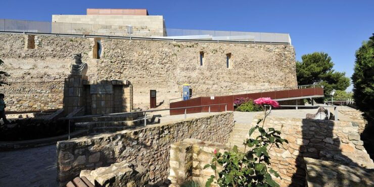 Cartagena: Roman Theater, Forum, Castle and Panoramic Lift - Forum of Carthago Nova: Exploring Roman Civilization