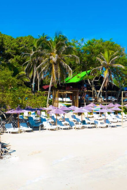 Cartagena: Rosario Island Beach Club Day Trip and OPEN BAR - Inclusions Breakdown