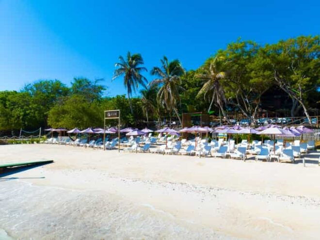 Cartagena: Rosario Island Beach Club Day Trip and OPEN BAR - Immersive Marine Life