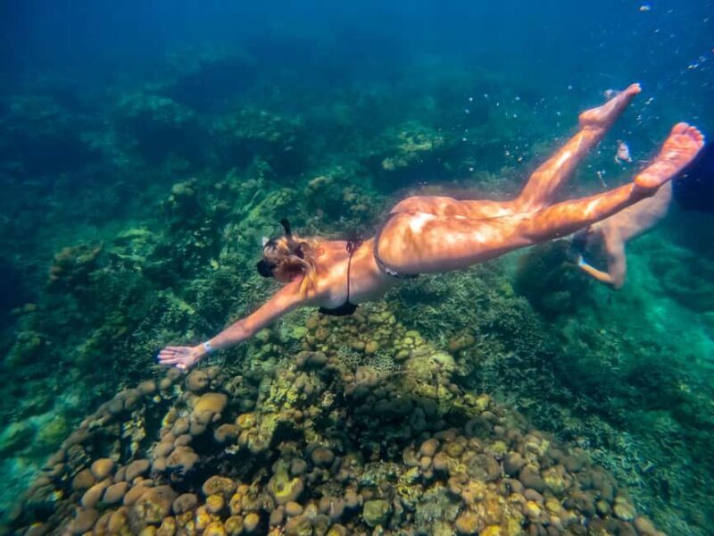 Cartagena: Rosario Islands Day Tour with Snorkel & Lunch - Introduction