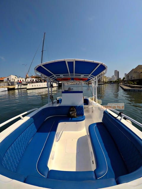 Cartagena: Rosario Islands VIP Tour by Luxury Sports Boat - Activities Included