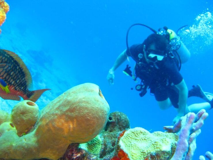 Cartagena: Scuba Diving Day Trip at Playa Blanca With Lunch - Activity Details