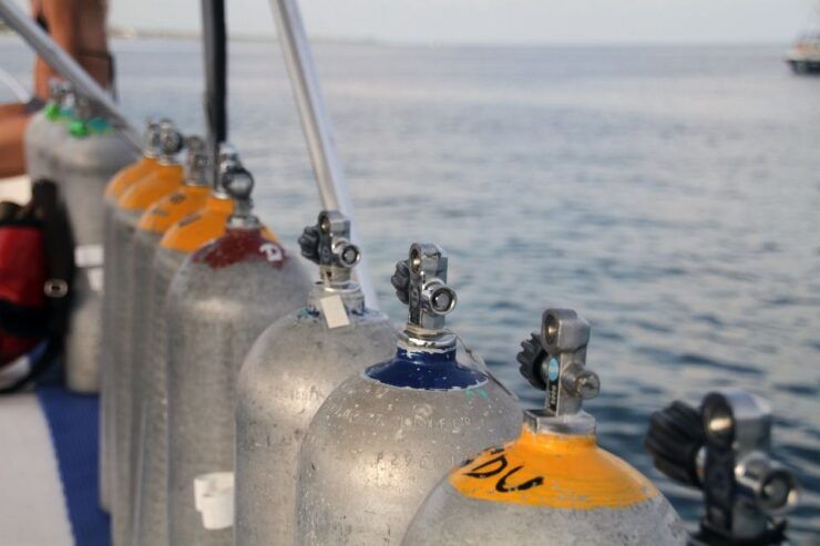 Cartagena: Scuba Diving Day Trip at Playa Blanca With Lunch - Experience Highlights
