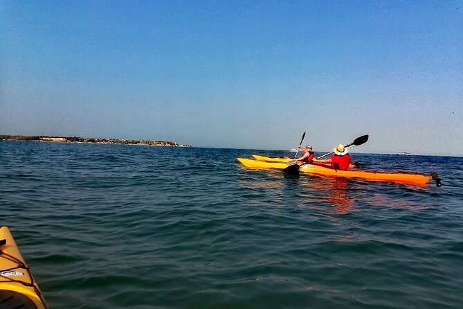 Cartagena Small-Group Half-Day Kayak Tour (Feb ) - Location and Meeting Point