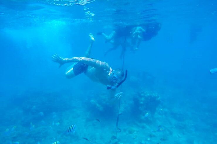 Cartagena: Snorkel, Mangroves and Playa Blanca Tour - Live Tour Guide and Language