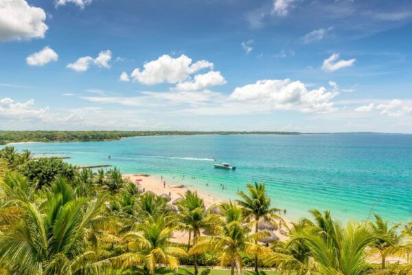 Cartagena: Snorkel, Mangroves and Playa Blanca Tour - Frequently Asked Questions