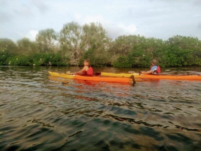 Cartagena: Walled City Kayak Tour - Booking Details and Meeting Point