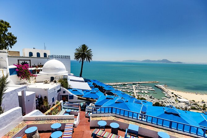 Carthage, Bardo Museum, Sidi Bou Said and Medina Private Day Tour - Tour Overview and Highlights