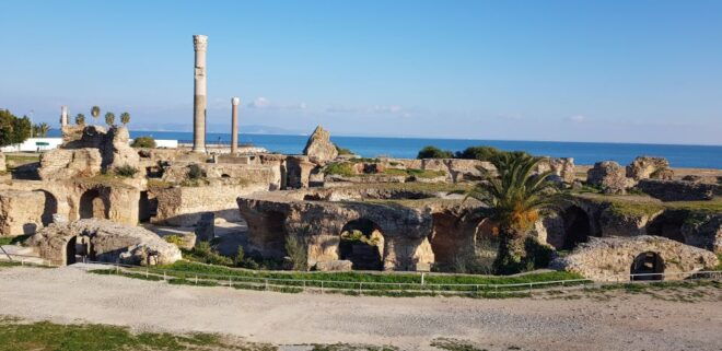 Carthage: Guided Bike Tour of the Archaeological Site - Experience Description
