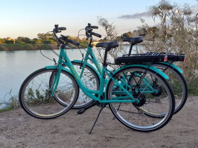 Carthage: Guided Bike Tour of the Archaeological Site - Selecting Participants and Date