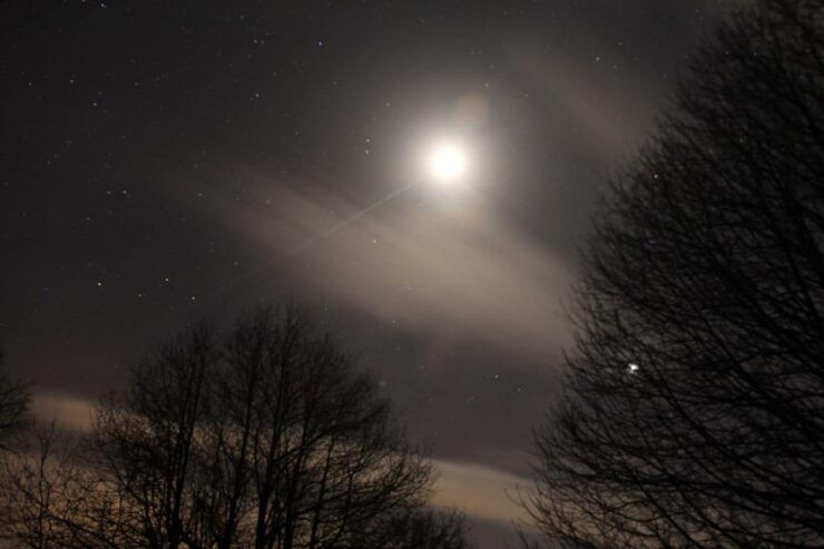 Carvajal De Gredos: Stargazing From the Ancient Forest - Location and Experience Setting
