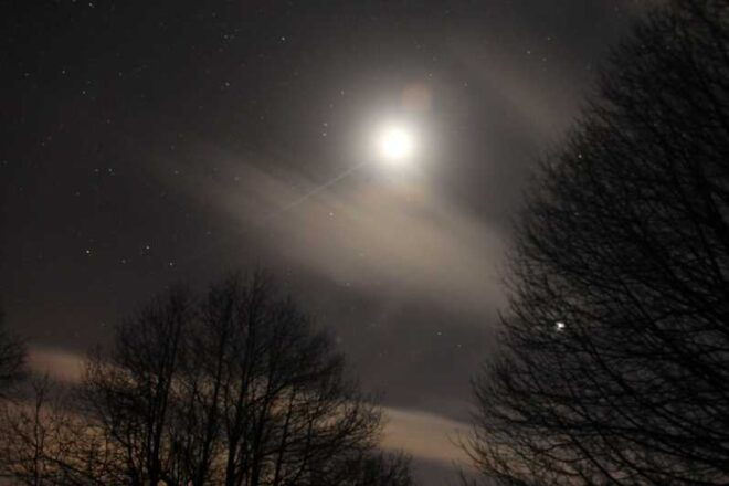 Carvajal De Gredos: Stargazing From the Ancient Forest - Guided Tour Details