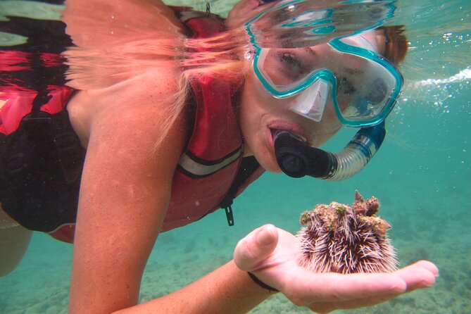 Cas Cay - Kayak Hike and Snorkel Adventure - Tour Overview and Inclusions