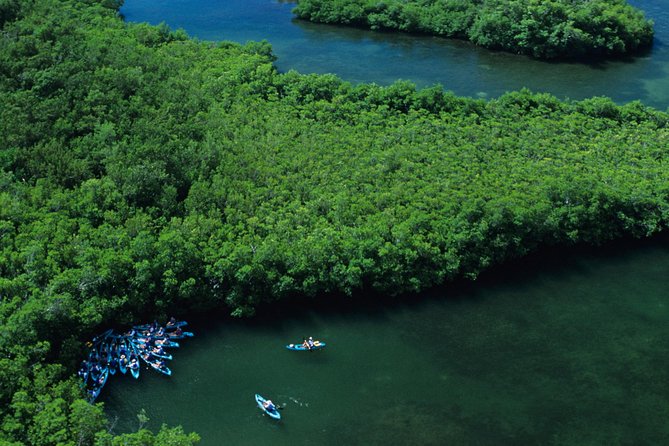 Cas Cay - Kayak Hike and Snorkel Adventure - Additional Information and Cancellation Policy