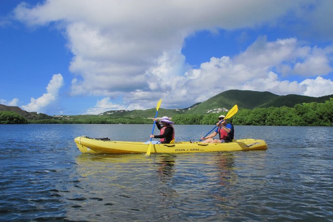 Cas Cay - Kayak Hike and Snorkel Adventure - Reviews and Recommendations