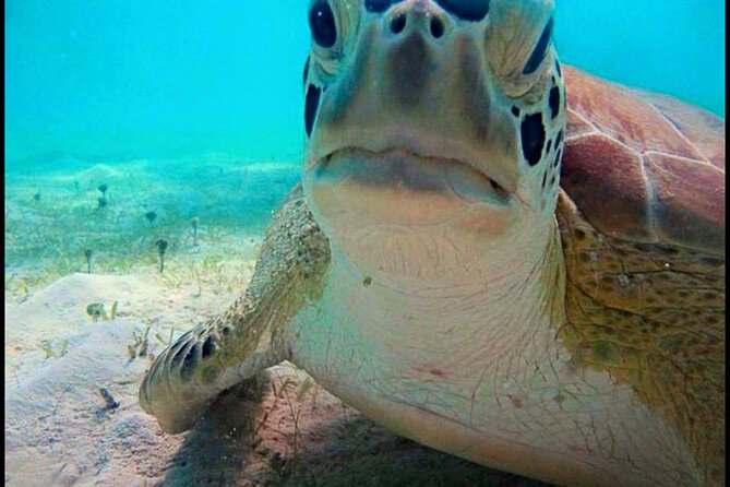Cas Cay - Kayak Hike and Snorkel Adventure - Kayak and Snorkel Equipment Provided