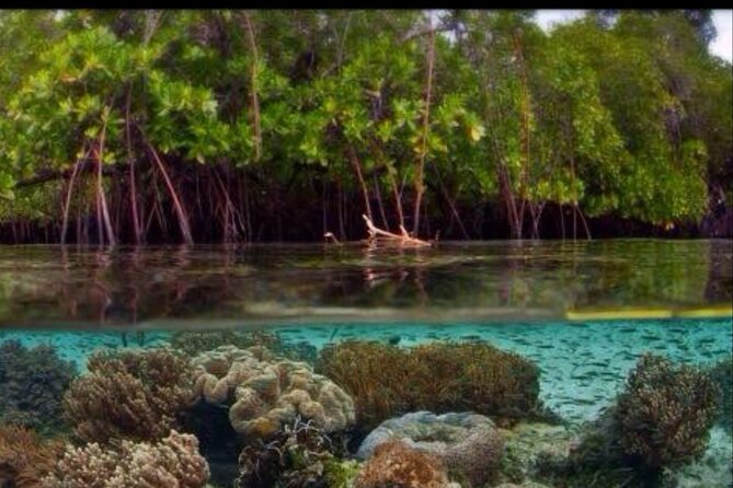 Cas Cay - Kayak Hike and Snorkel Adventure - Address and Directions to Cas Cay