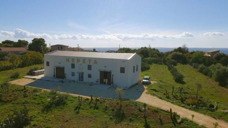 CASA NEPETA: Botanical Walk, Amari Production, and Tasting - Witness Amari Production Process