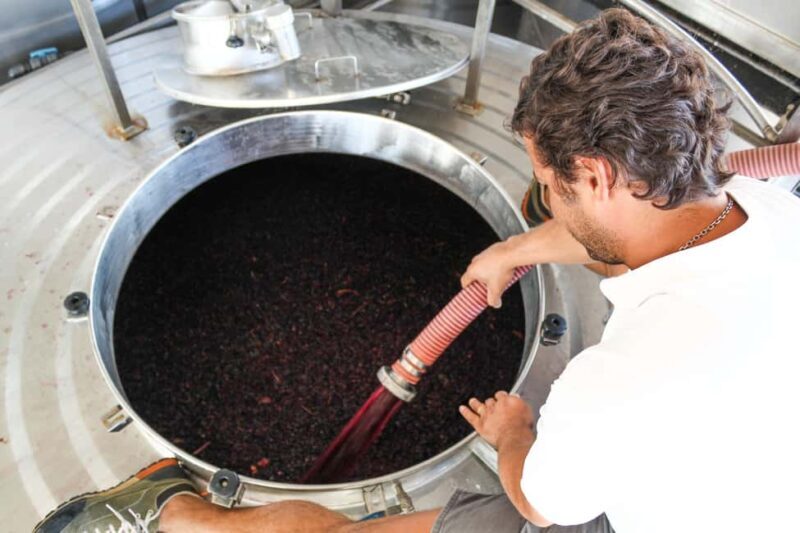 Casa Relvas, Évora - Visit to the Winery with Tasting of 5 wines and Tapas - Good To Know