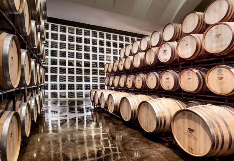 Casa Relvas, Évora - Visit to the Winery with Tasting of Portuguese Grape Varieties and Tapas - Casa Relvas, Évora – Visit to the Winery with Tasting of Portuguese Grape Varieties and Tapas