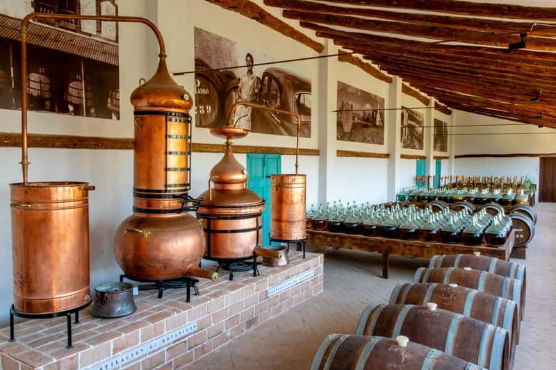 Casa Vermouth Padró: Vermouth tasting and guided visit in Bràfim (Tarragona) - An In-Depth Look at the Vermouth Experience