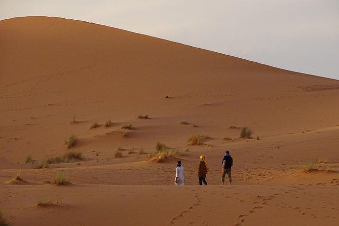 Casablanca 3 Day Itinerary - Day 2: Discovering Marrakech