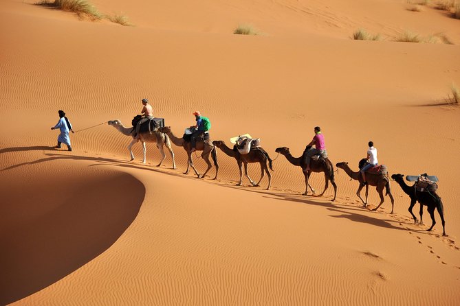 Casablanca 7-Night Private Caravan Trail Explorer Desert Tour (Feb ) - Tour Overview