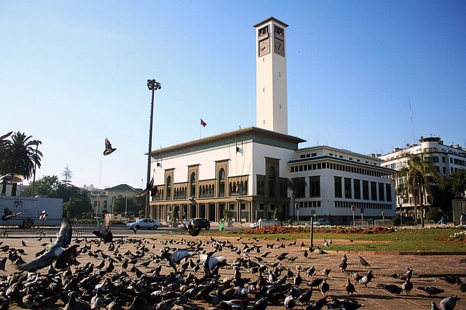 Casablanca Airport Layover Tour With Return to Airport or Hotel Dropoff - Tour Photos and Testimonials