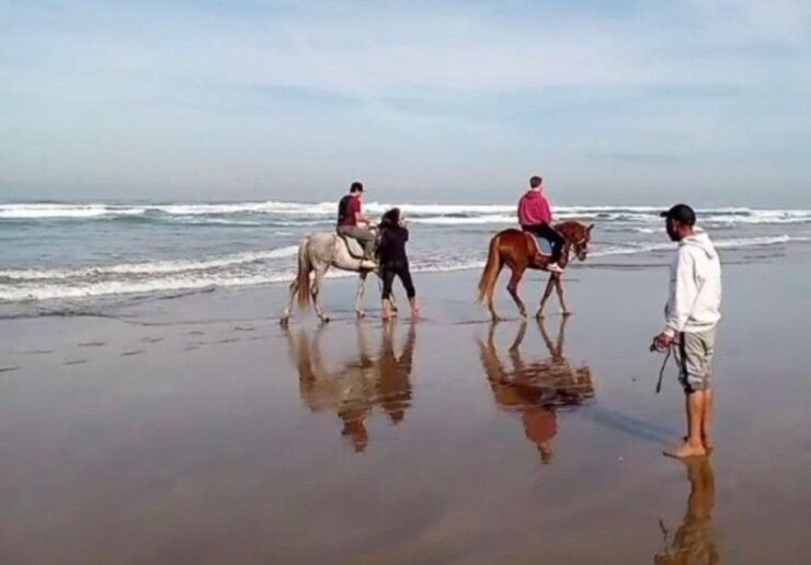 Casablanca City Tour Adventure & Savory Lunch - Must-See Landmarks