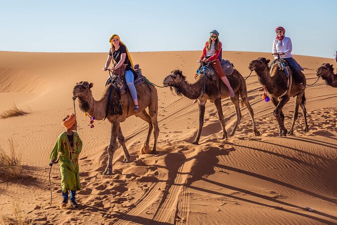 Casablanca Desert Tours 8 Days 7 Nights - Booking and Pricing Information