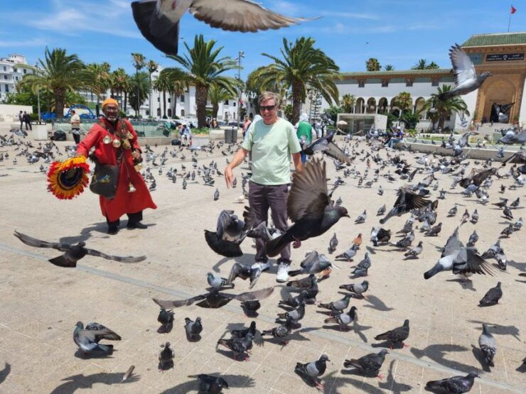 Casablanca: Layover Tour With Round-Trip Airport Transfer - Tour Details and Inclusions