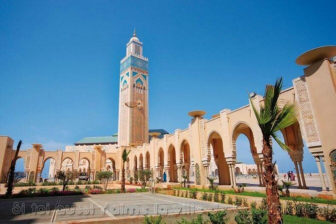 Casablanca Luxury Day Tour - Inclusions and Amenities