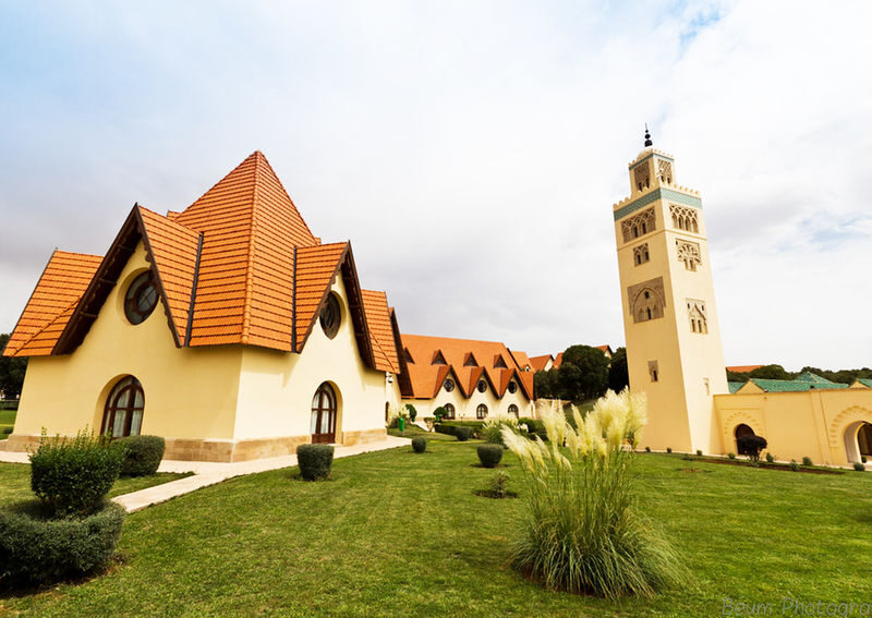 Casablanca Private Desert & Cultural Exploration with Merzouga & Chefchaouen - South through Azrou and the Ziz Valley