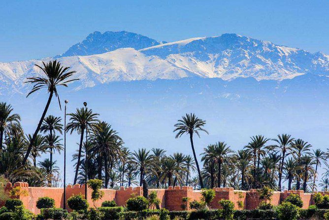 Casablanca to Marrakech Day Trip With Camel Ride - Traveler Photos and Reviews
