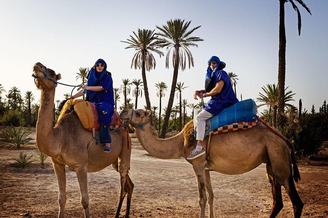 Casablanca to Marrakech Day Trip With Camel Ride - Unmet Expectations and Terrible Experience
