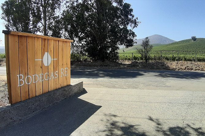 Casablanca Valley: Winery and Vineyard Tour - Santiago - Tour Highlights