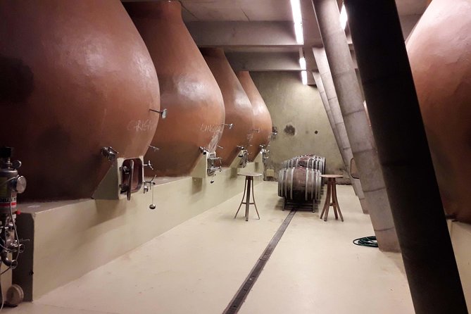 Casablanca Valley: Winery and Vineyard Tour - Santiago - Winery Visits