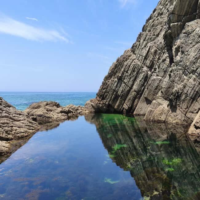 Cascais: Atlantic Coastline Wild Hike - Introduction