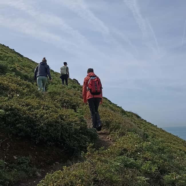 Cascais: Atlantic Coastline Wild Hike - Good To Know