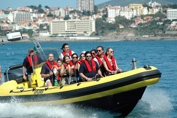 Cascais: Dolphin Watching Speedboat Tour - Seasonal Availability