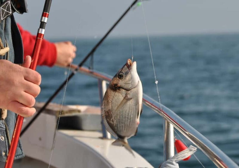 Cascais: Family Fishing - An In-Depth Look at Cascais Family Fishing