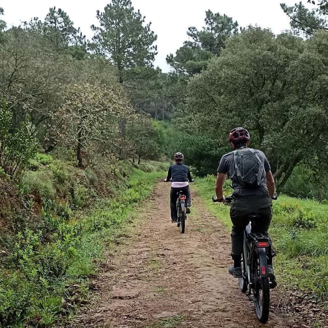 Cascais: Guided Scenic Bike Ride, Tuesday - Good To Know