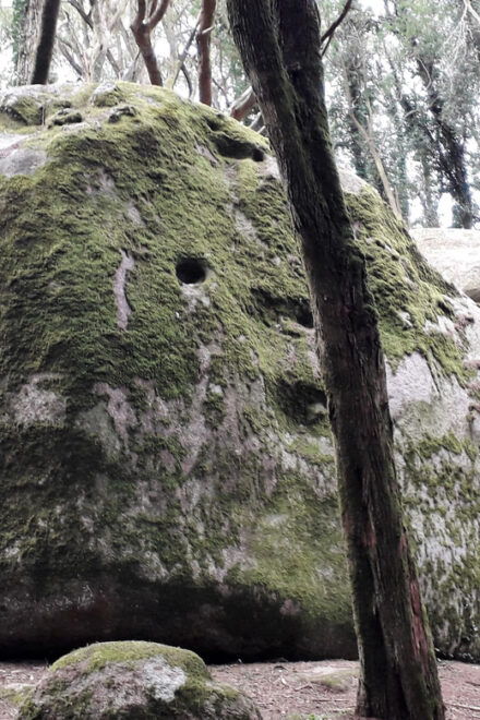 Cascais: Hiking in Sintra-Cascais Natural Park - Inclusions