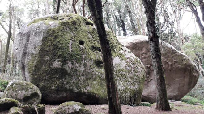 Cascais: Hiking in Sintra-Cascais Natural Park - Participant Information