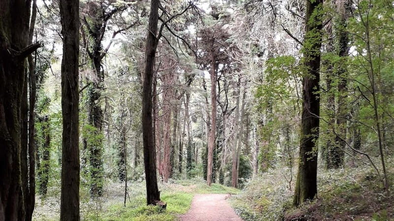 Cascais: Open Water Swimming and Hiking Experience - What’s Included and What to Prepare For  