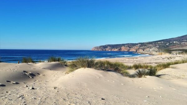 Cascais: Private Tour to Visit the Beautiful Cascais Region - Key Features and Inclusions