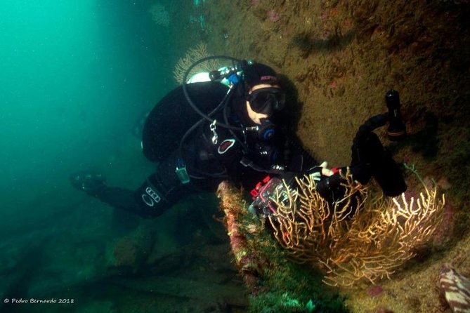 Cascais Scuba Diving Excursion - Scuba Adventure in Cascais