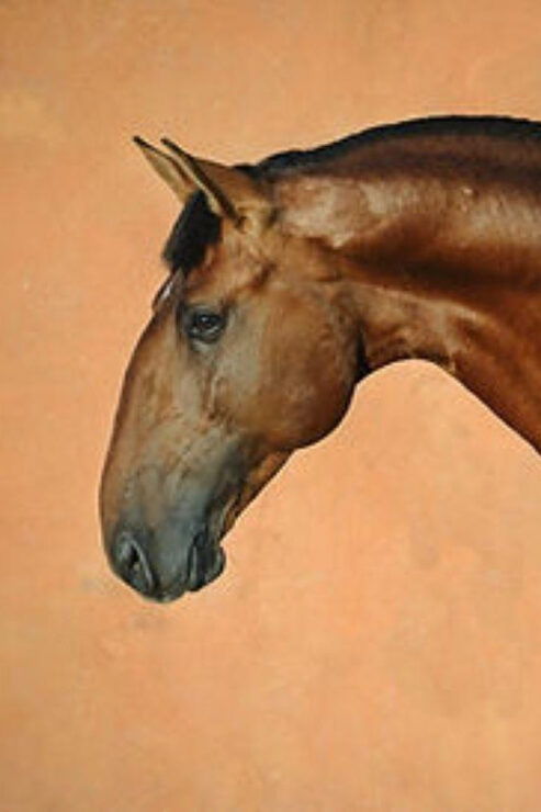 Cascais: Short Horse Ride at Riding Club - Experience Highlights