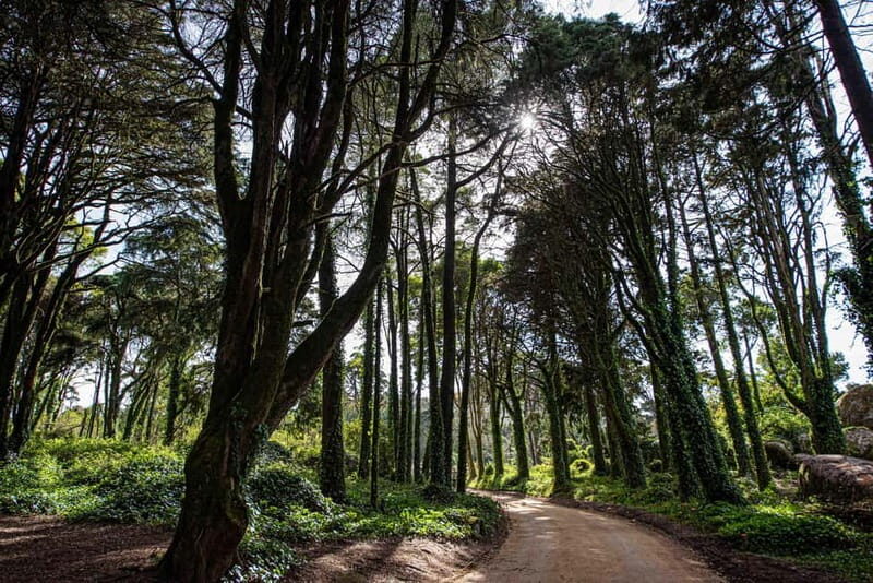 Cascais: Surfing tour within the Natural Park - The Value of This Tour